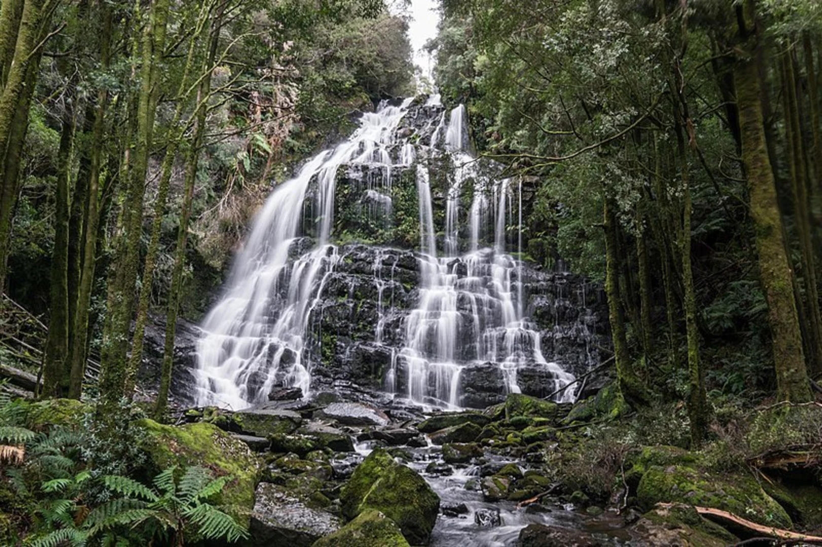 An image depicting the trail Nelson Falls Walk and its surrounding area.