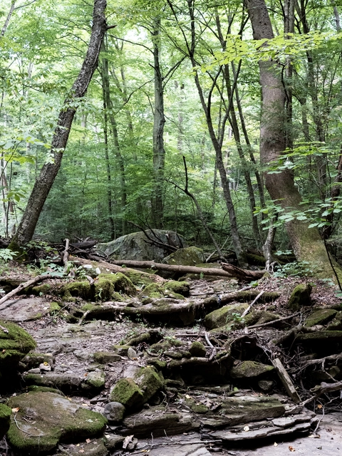 Rock Fumace Trail