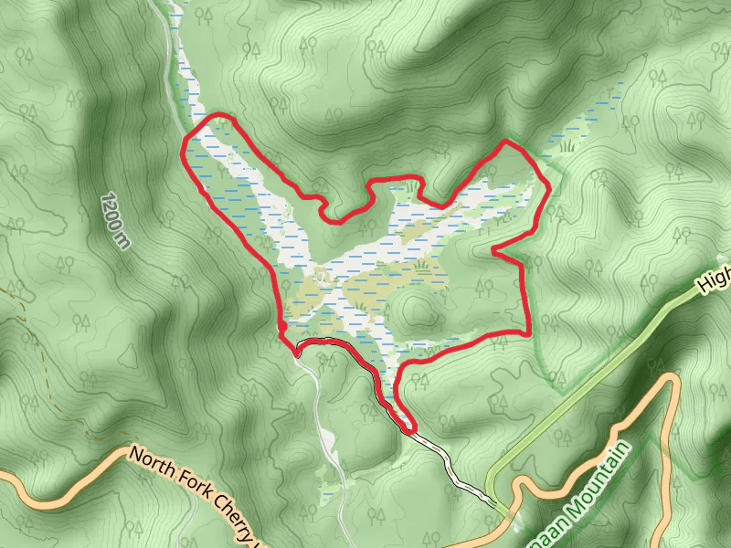 Cow Pasture Loop Trail