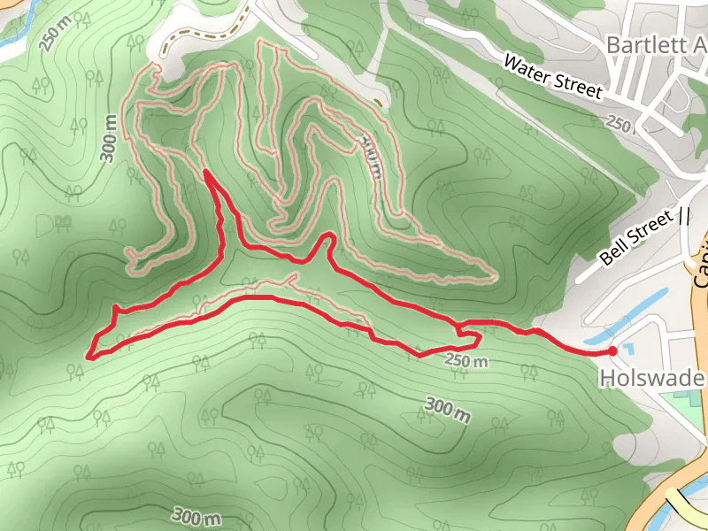 Ben's Run Loop Trail