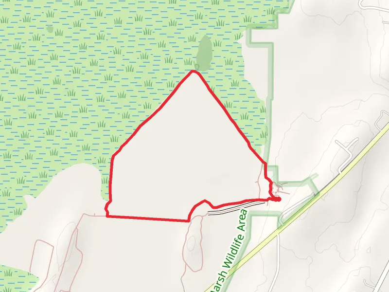 Flyway Clinic Drive Loop - North