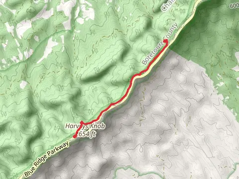 Appalachian Trail from Harveys Knob