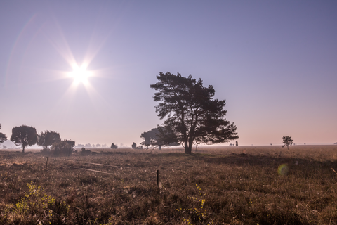 De Drie Koningen, Fort Isabella and Brobbelbies Loop