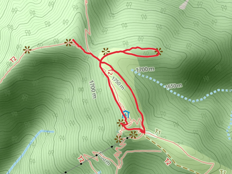 Ameisberg, Wank Spix and Eckenberg Via Alpina Violett