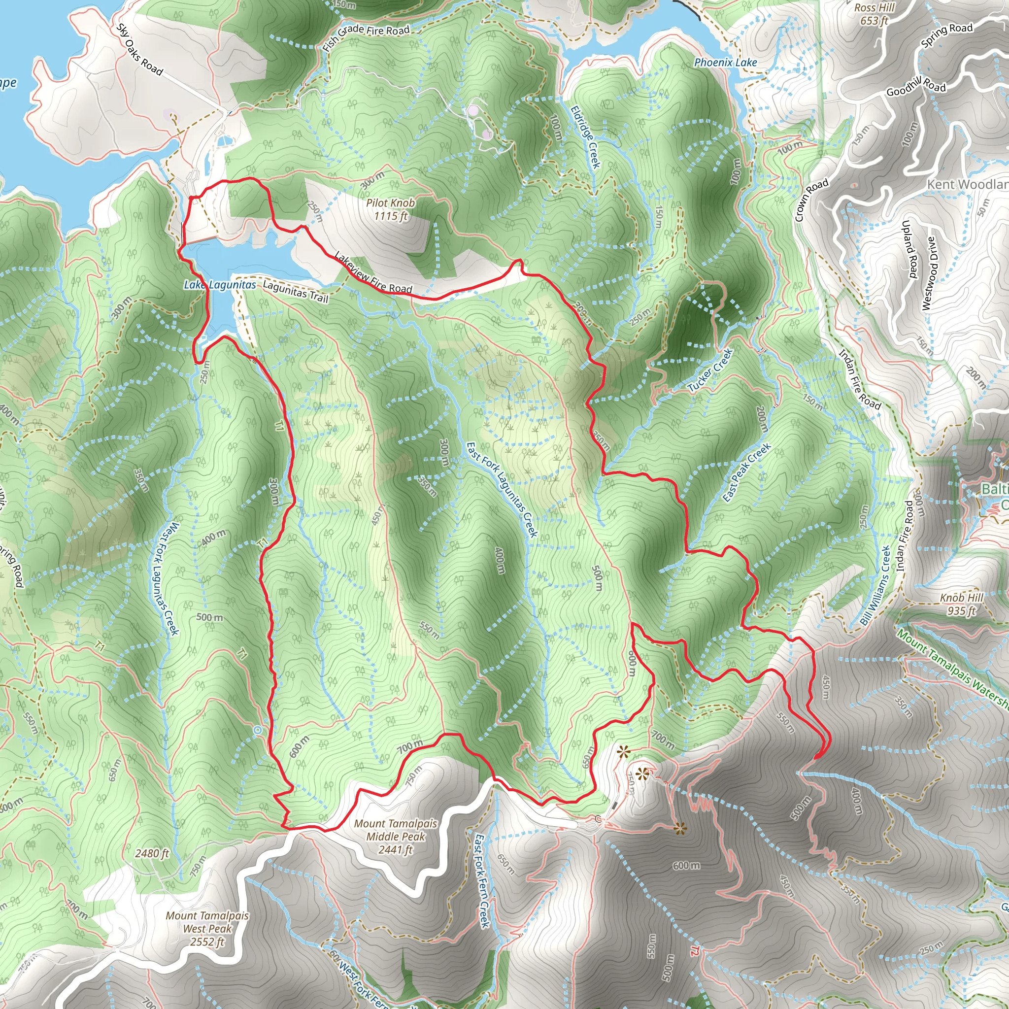 Lakeview Fire Road and Collier Loop Trail mobile static map