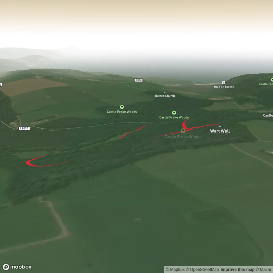 An image depicting the trail Castle Freke Woods and Wart Well Loop and its surrounding area.