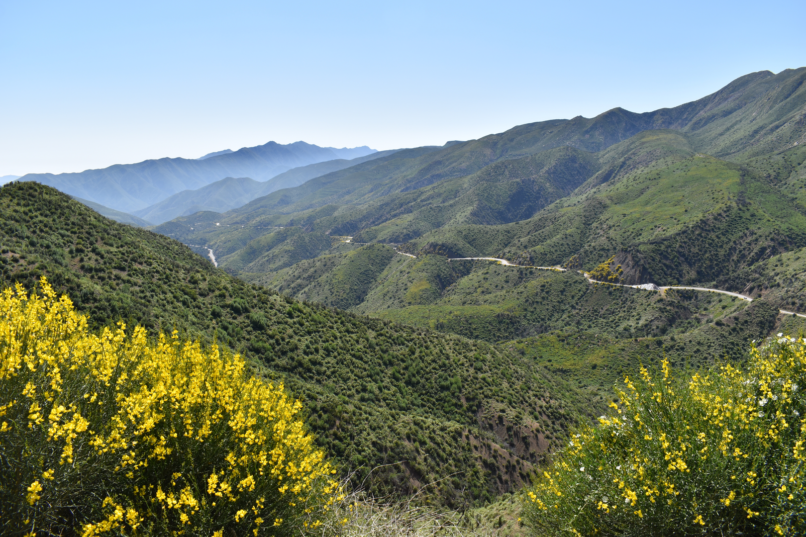 An image depicting the trail Boulder Trail and its surrounding area.
