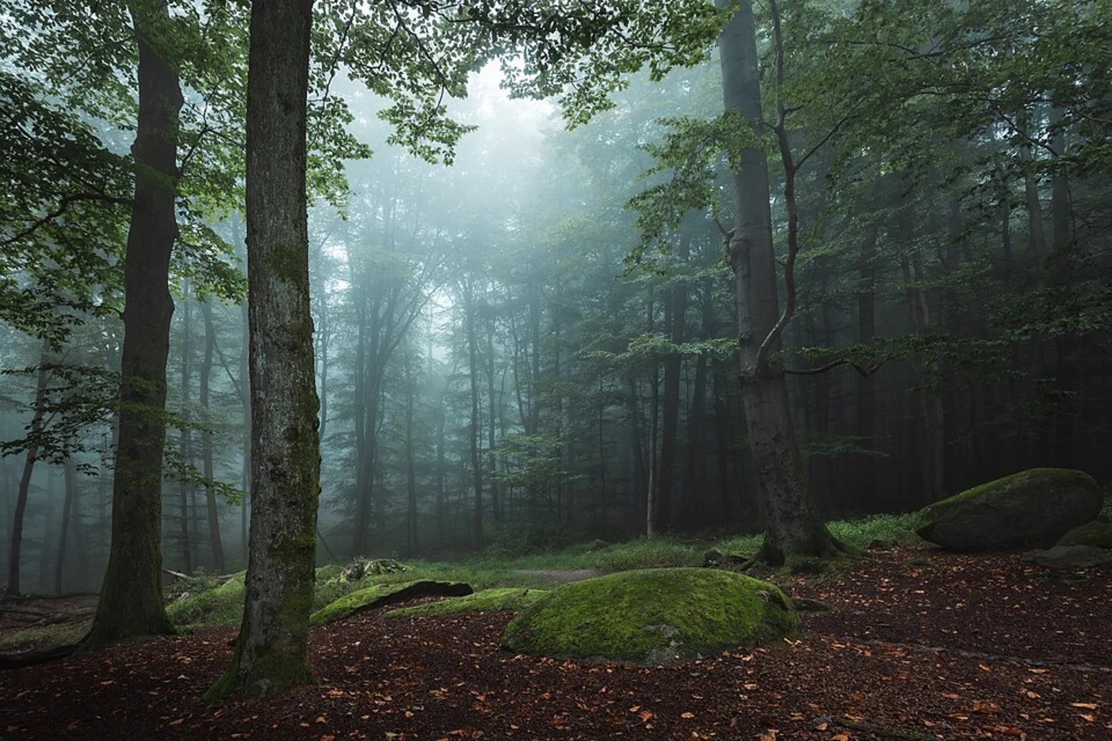 An image depicting the trail Odenwald-Vogesen Weg Teil and Hauptstrasse via Neckar and its surrounding area.