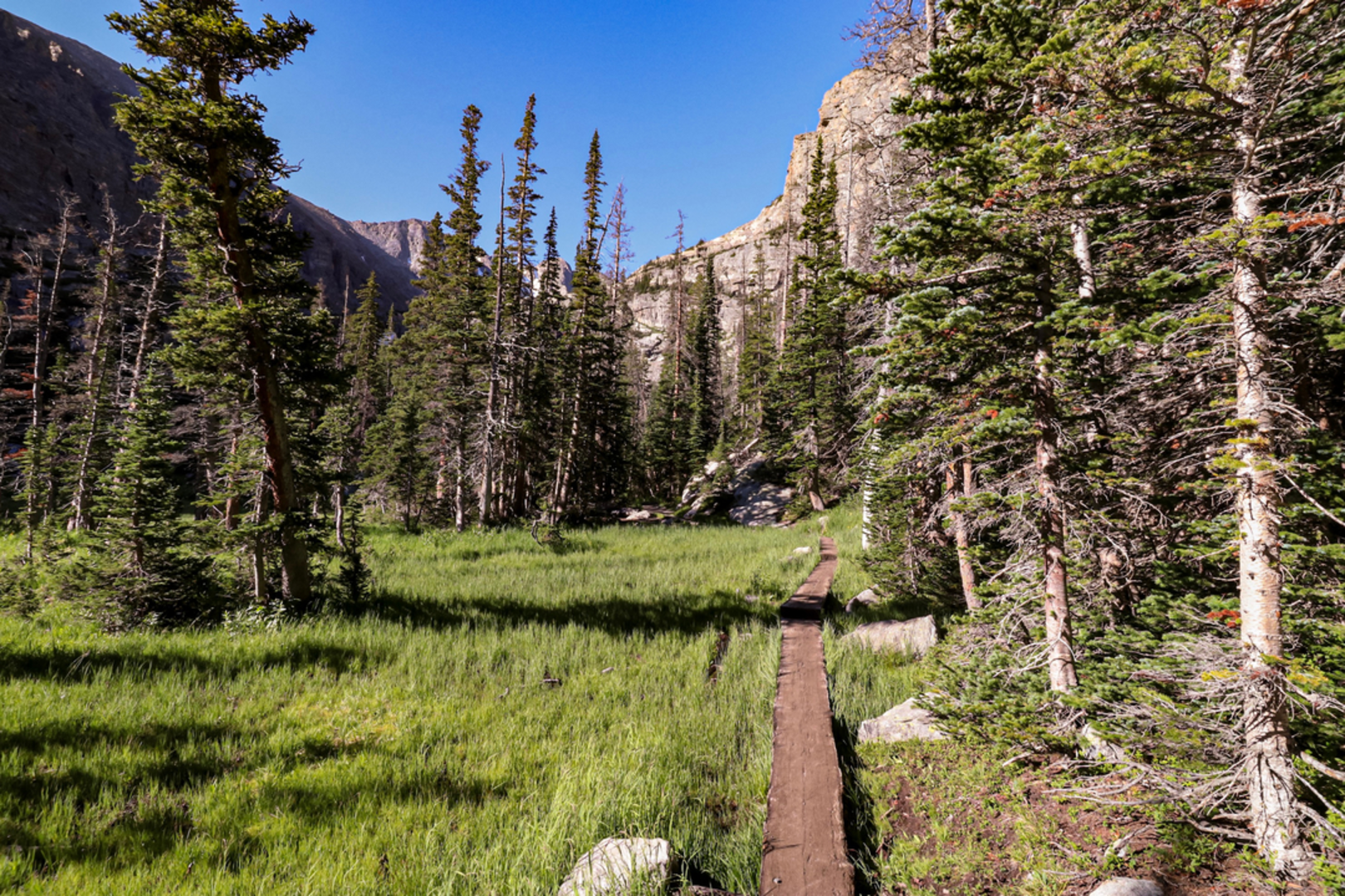 An image depicting the trail The Loch Trail and its surrounding area.