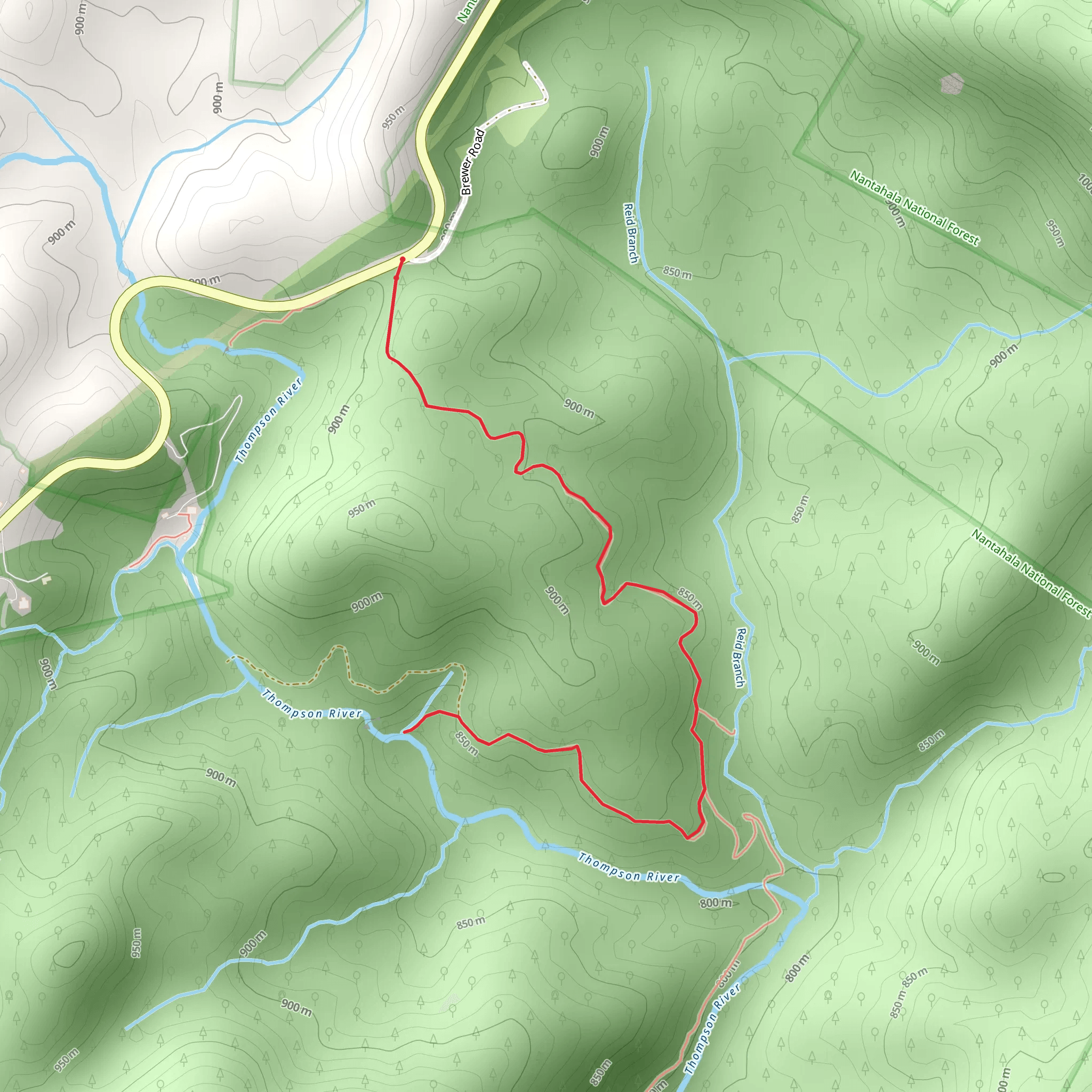 Thompson River from Brewer Road mobile static map