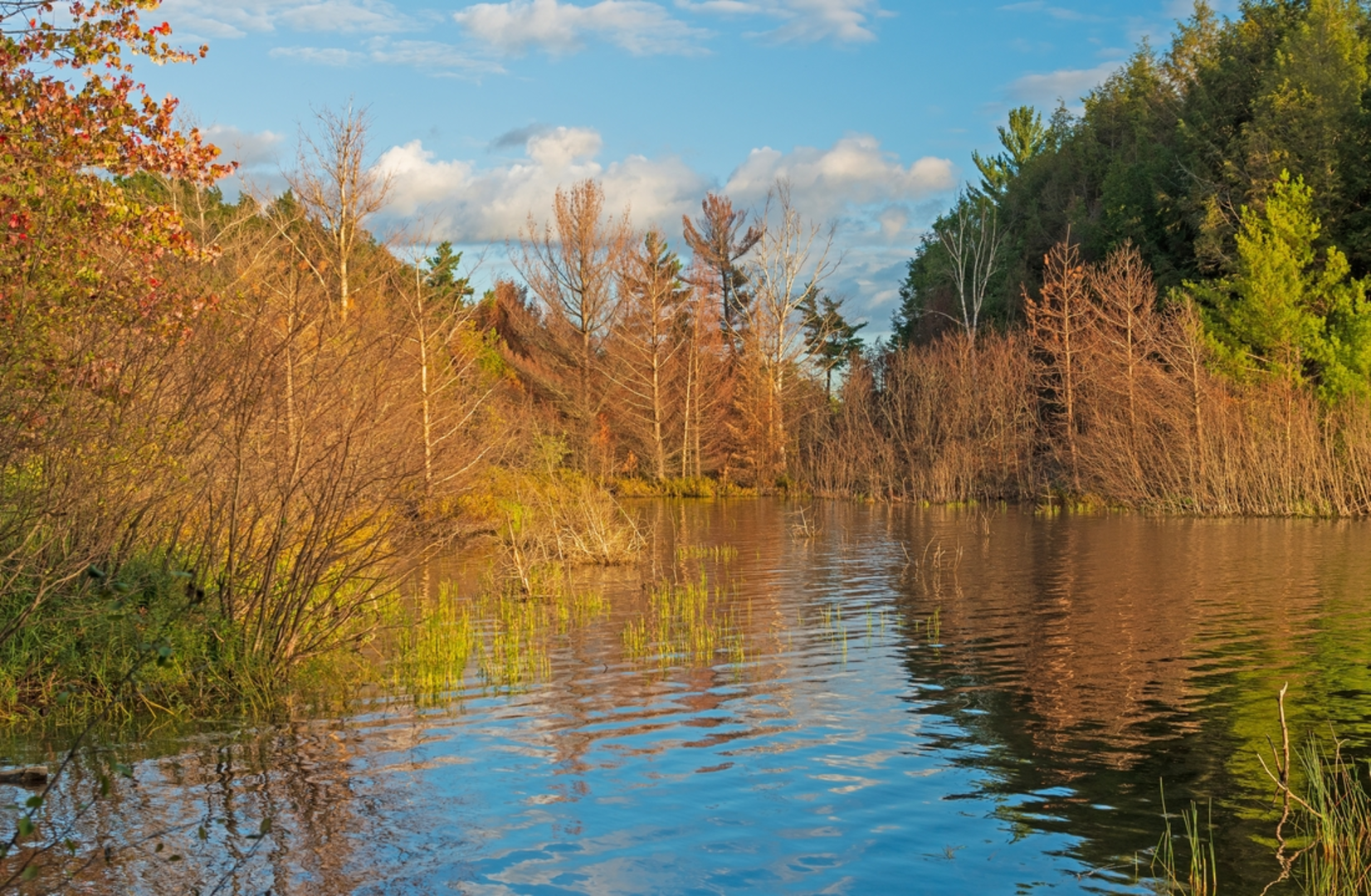 An image depicting the trail Clark Lake Trail and its surrounding area.