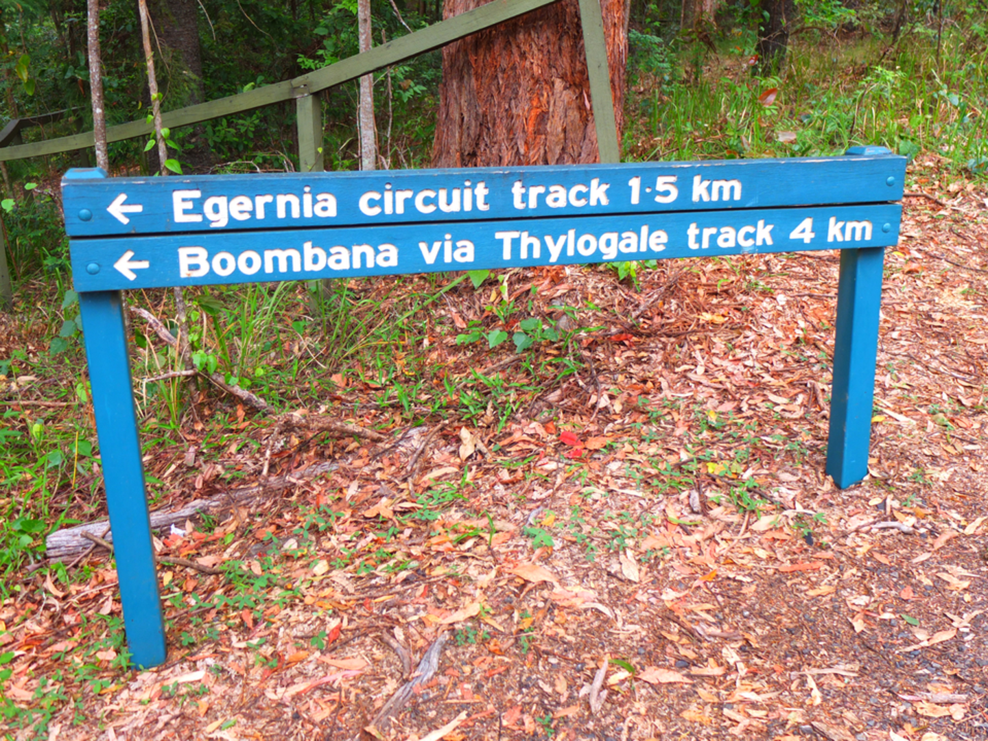 An image depicting the trail Egernia Circuit Track and its surrounding area.