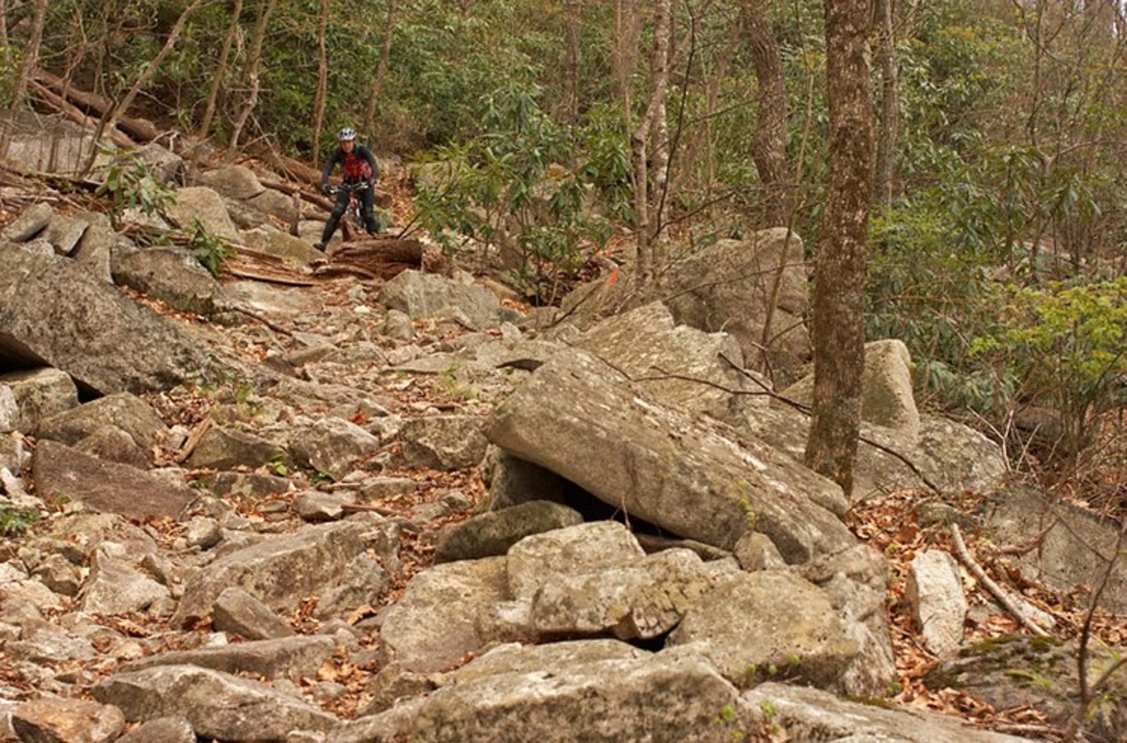 An image depicting the trail Pilot Rock Trail and its surrounding area.