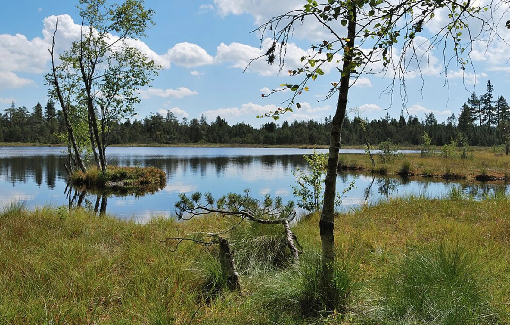 An image depicting the trail Wildsee via Horn Saatschulhuette and Leonhardhuette and its surrounding area.