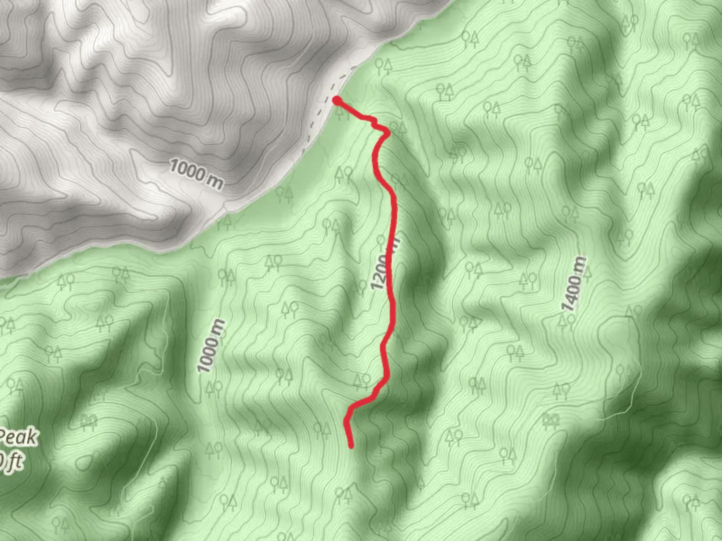 An image depicting the trail Cub Creek Trail and its surrounding area.