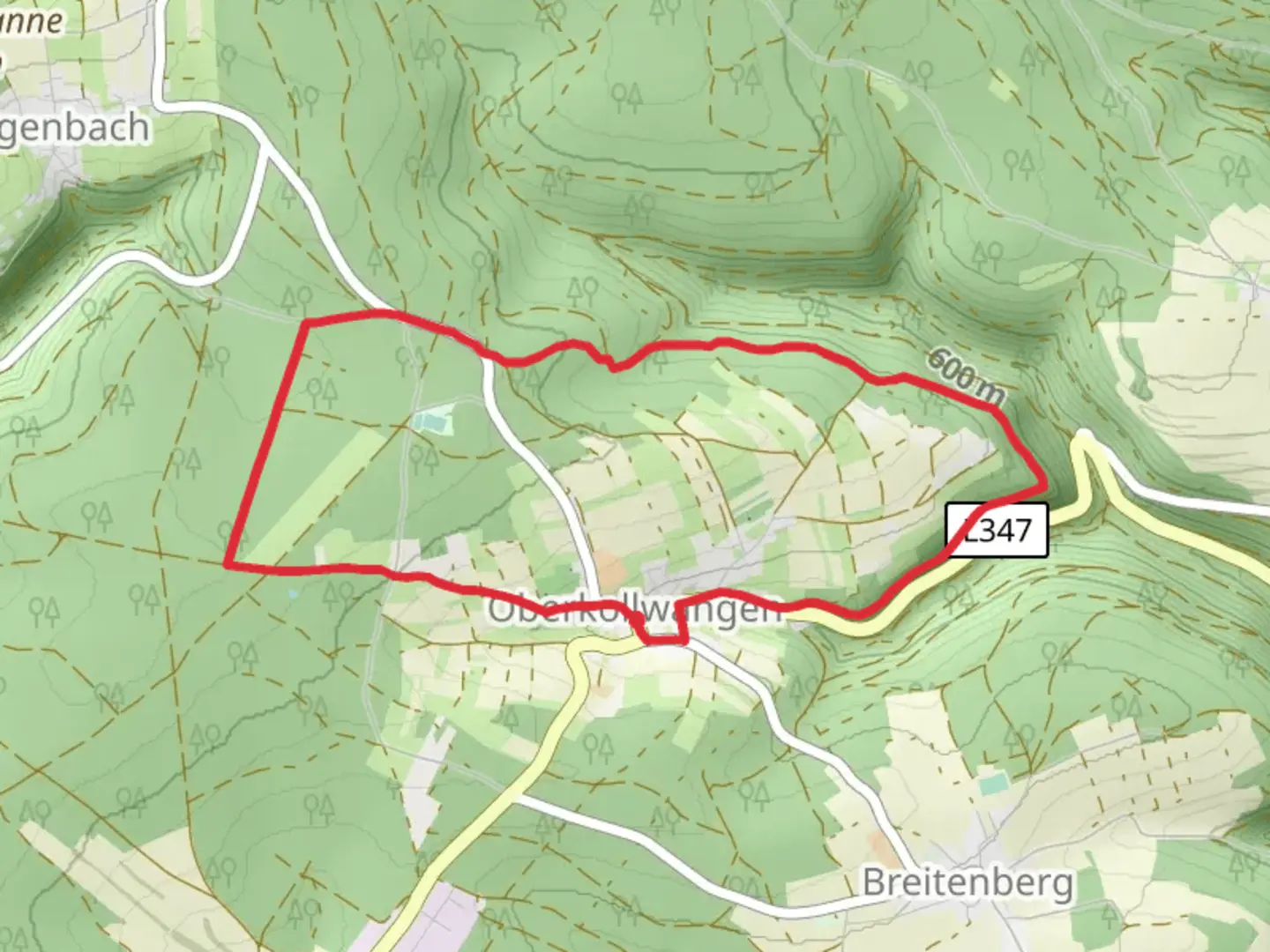 An image depicting the trail Talblick Gruen and its surrounding area.