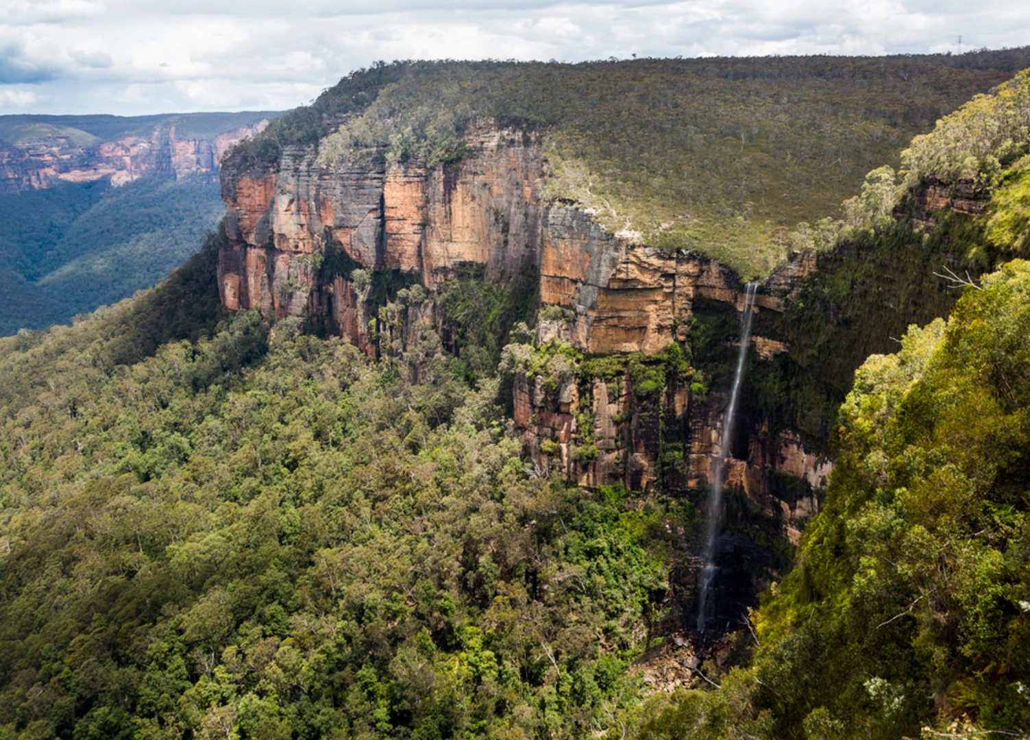 An image depicting the trail Cliff Top Track and its surrounding area.