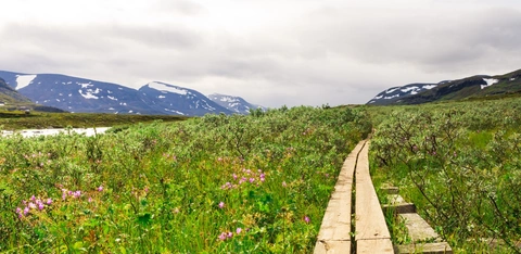 Kungsleden South