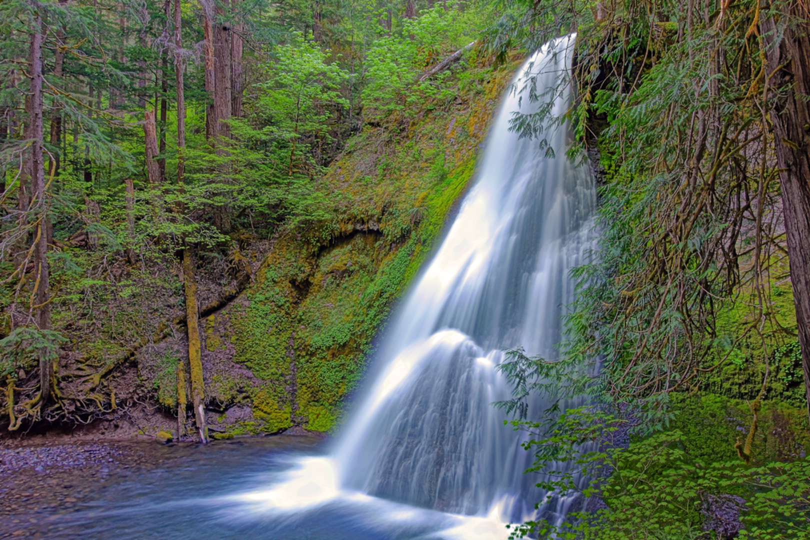 An image depicting the trail Yakso Falls Trail and its surrounding area.