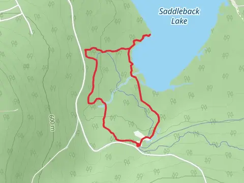 Saddleback Lake and South Branch Dead River Loop