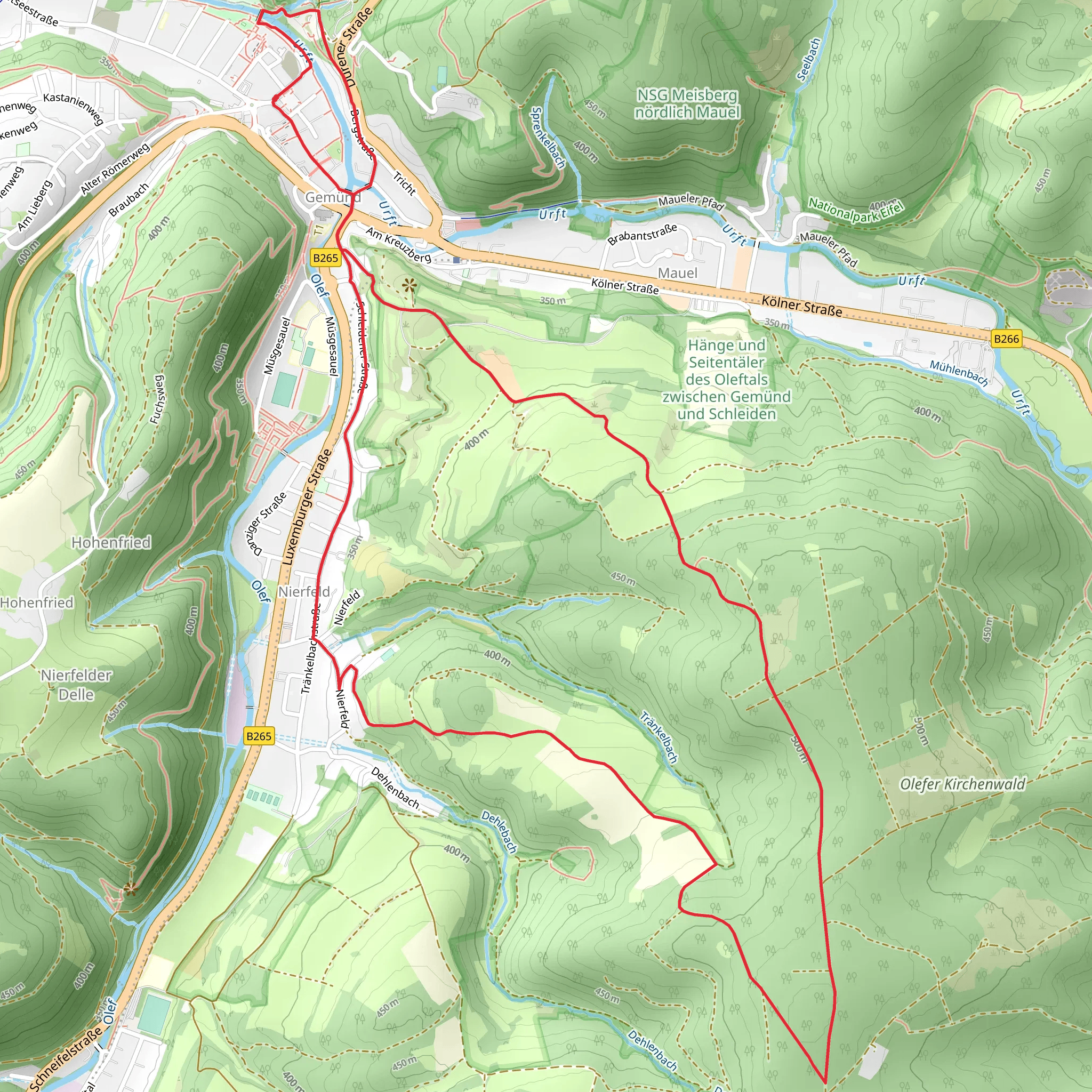 Gemünd - Eifel Loop mobile static map