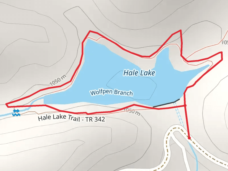 Hale Lake Trail