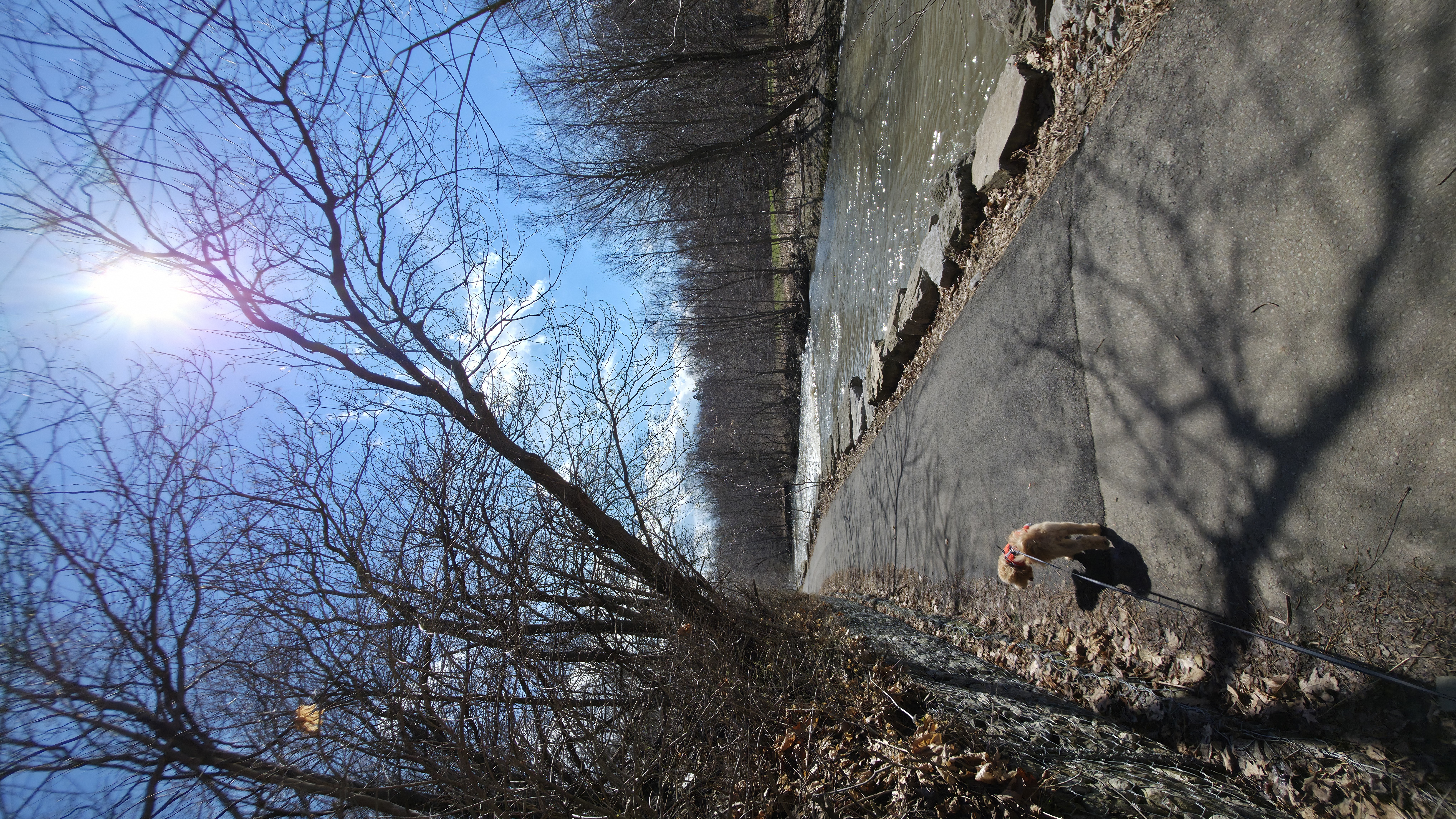 A map preview of the recording Hike on Etobicoke Creek Beach Hike.