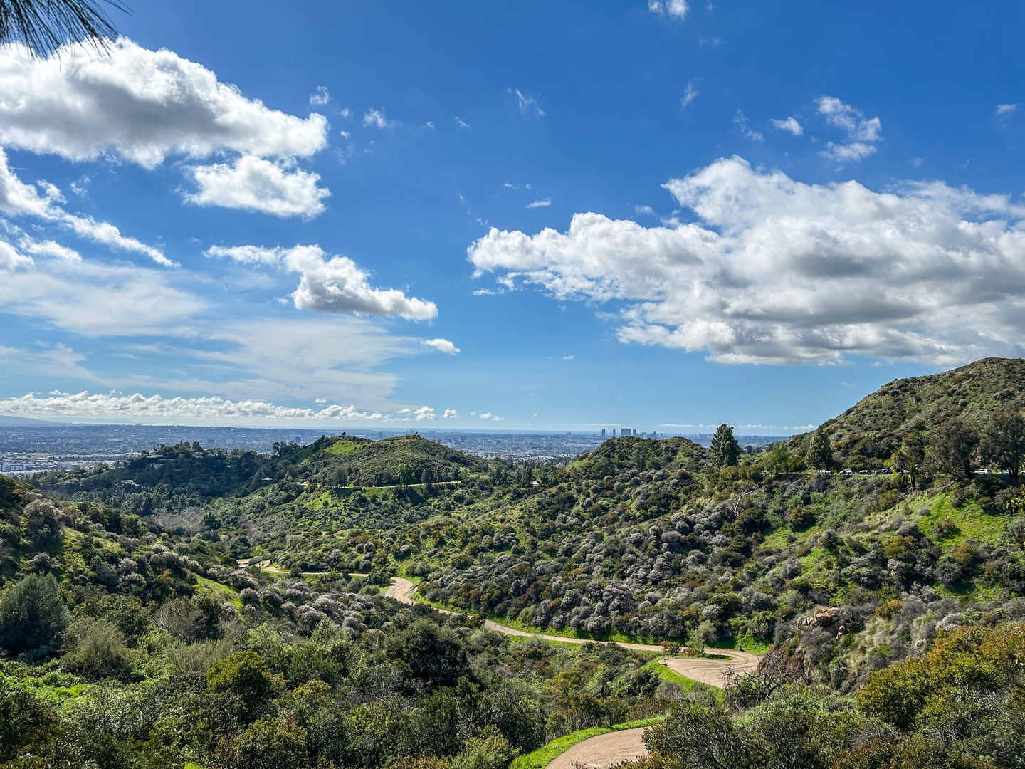 An image depicting the trail Glendale Peak and Mount Hollywood Loop and its surrounding area.