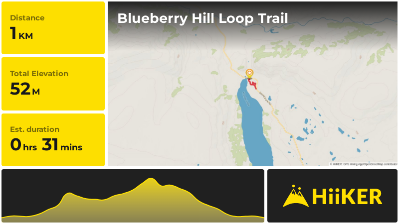 Blueberry Hill Loop Trail | Denali | Alaska