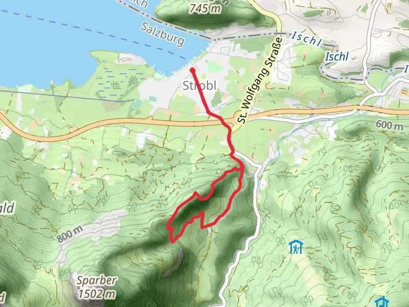 Brustwandrunde Loop