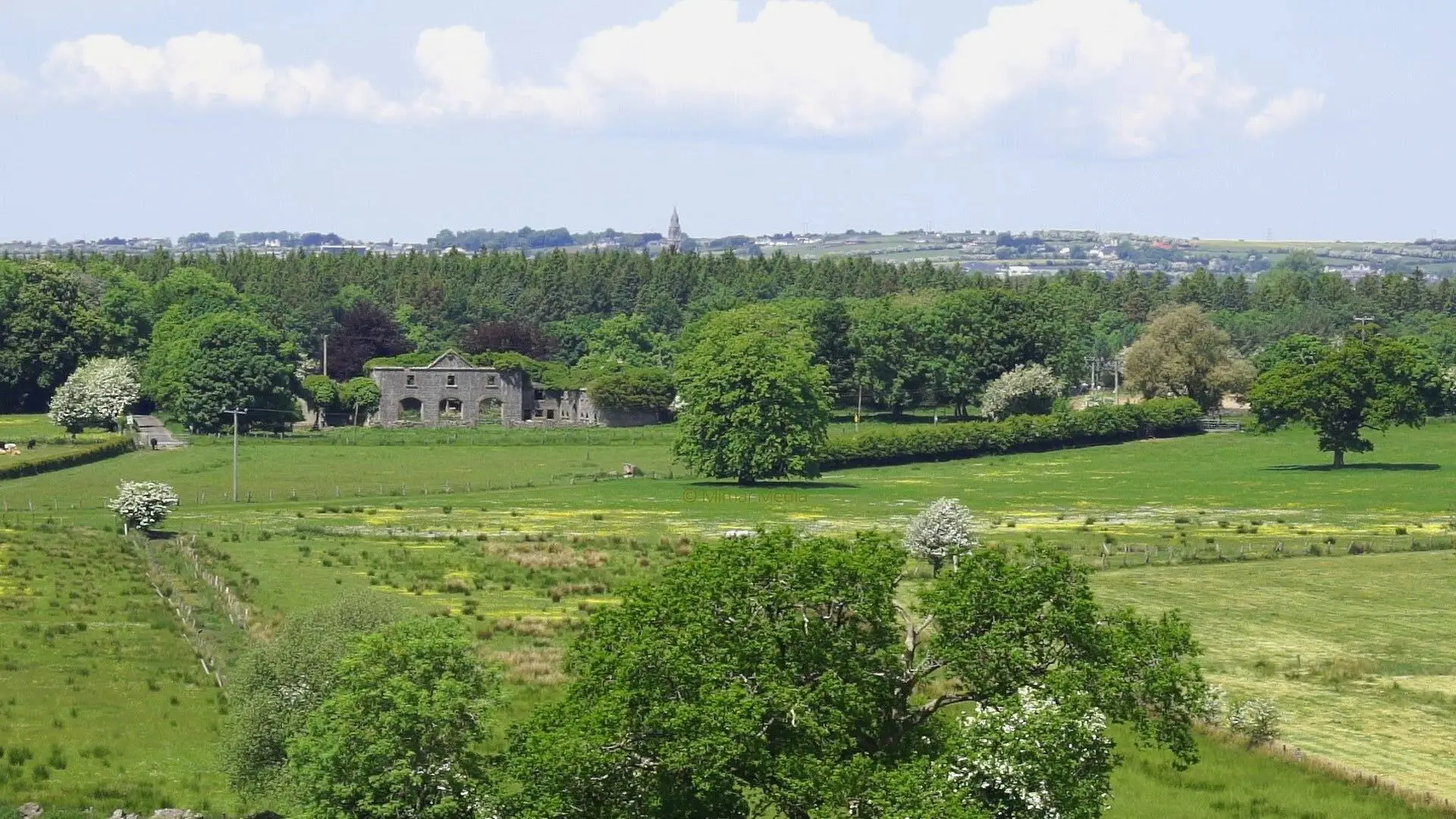 An image depicting the trail Mote Park - Crofton Trail and its surrounding area.