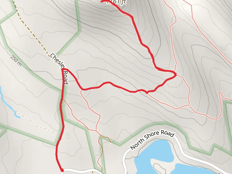 Mount Molly Trail