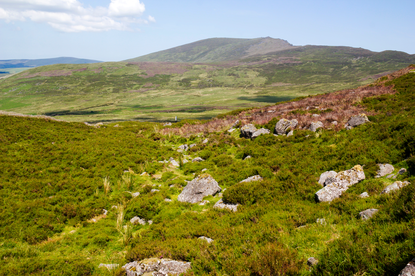 An image depicting the trail Nire Valley Trails - Gap Walk and its surrounding area.