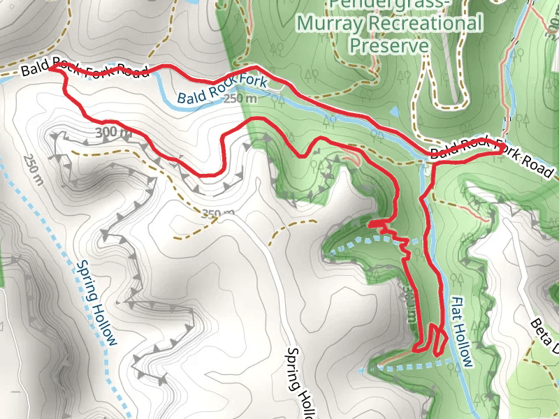 Flat Hollow Connector and Bald Rock Fork Road Loop
