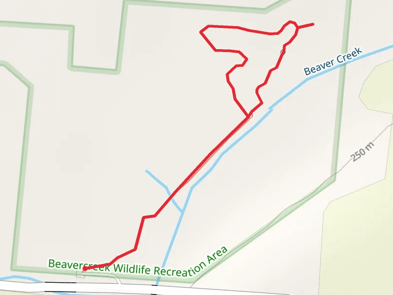 Beaver Creek Loop