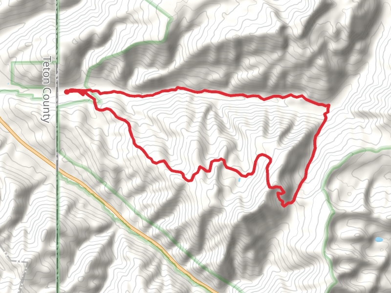 Mesquite and Moose Creek Loop
