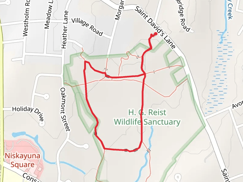 Paul Schaefer Yellow Trail and Hidden River Trail Loop