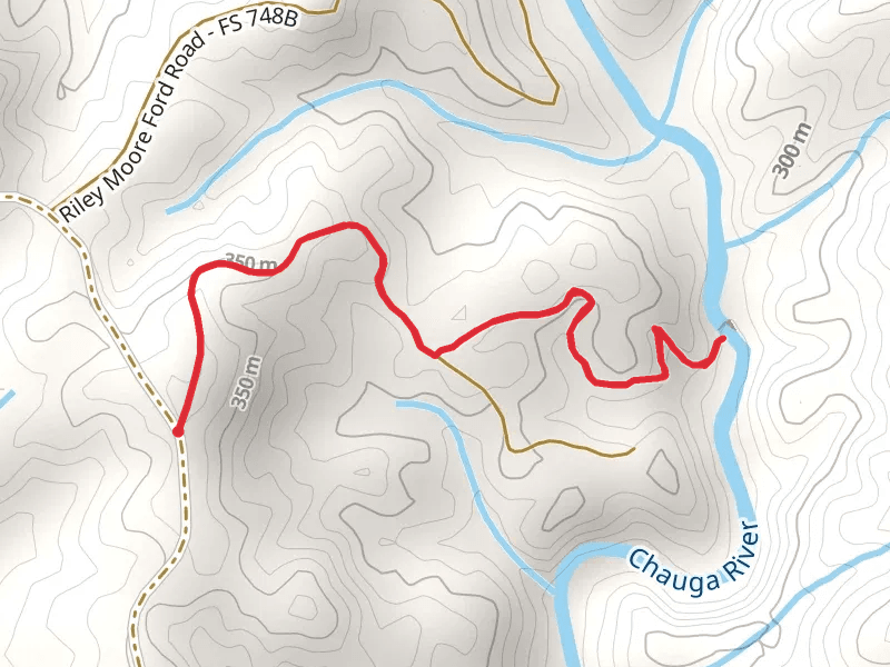 Riley Moore Falls Trail