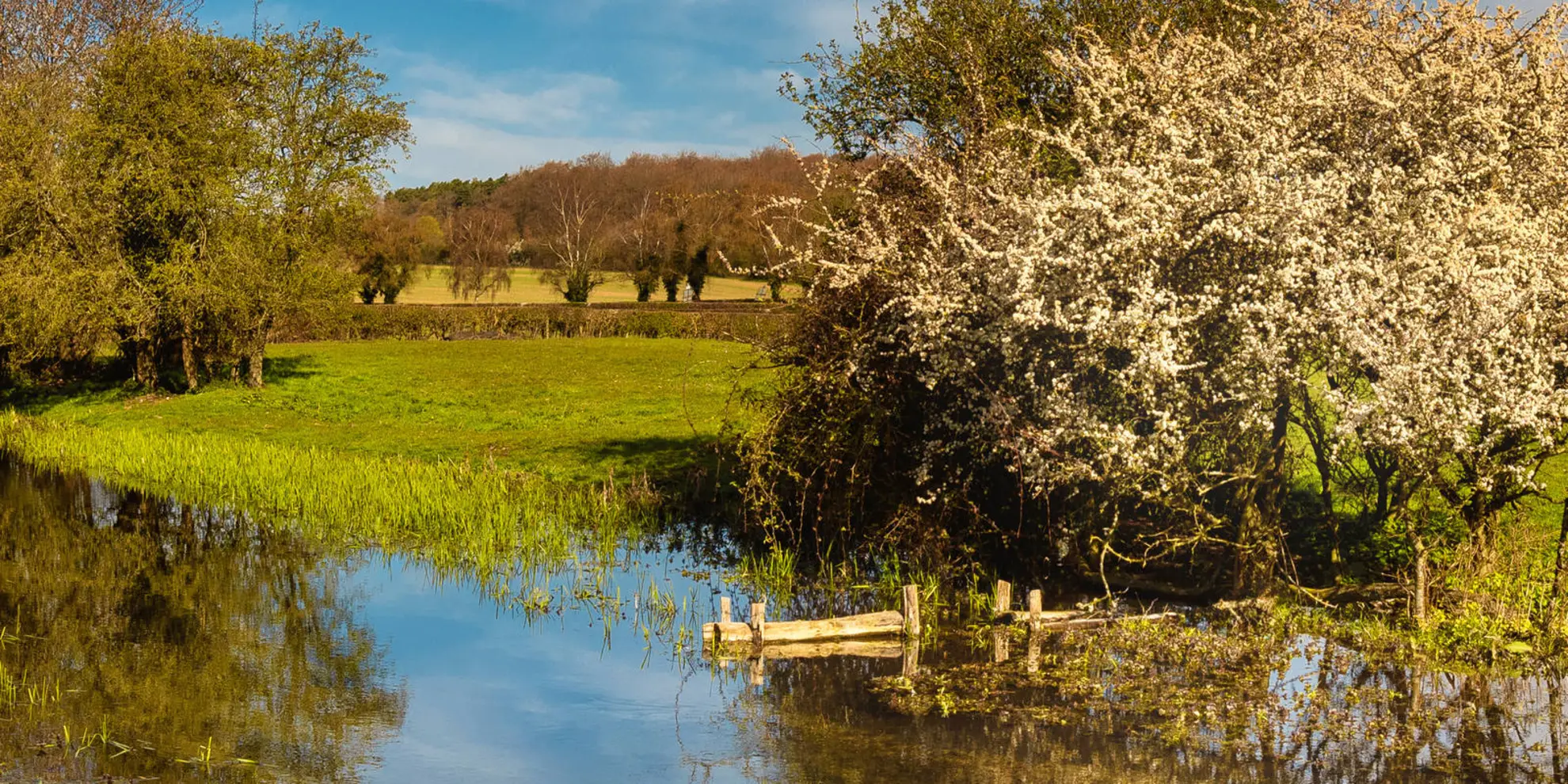 An image depicting the trail South Bucks Way and its surrounding area.