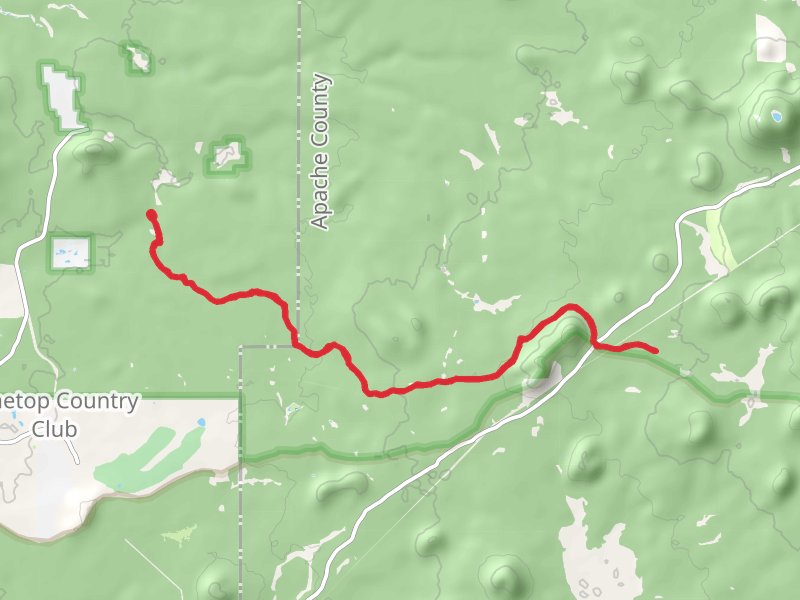 Chipmunk Springs Trail