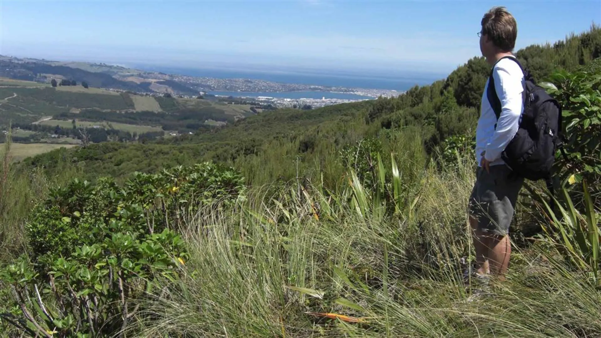 An image depicting the trail Leith Saddle Track and its surrounding area.
