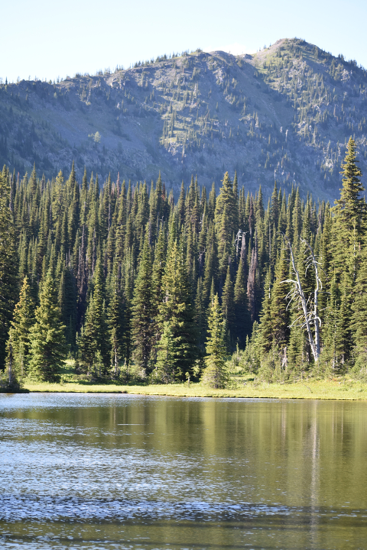 An image depicting the trail Paradise Lake via Bluebird Trail and its surrounding area.