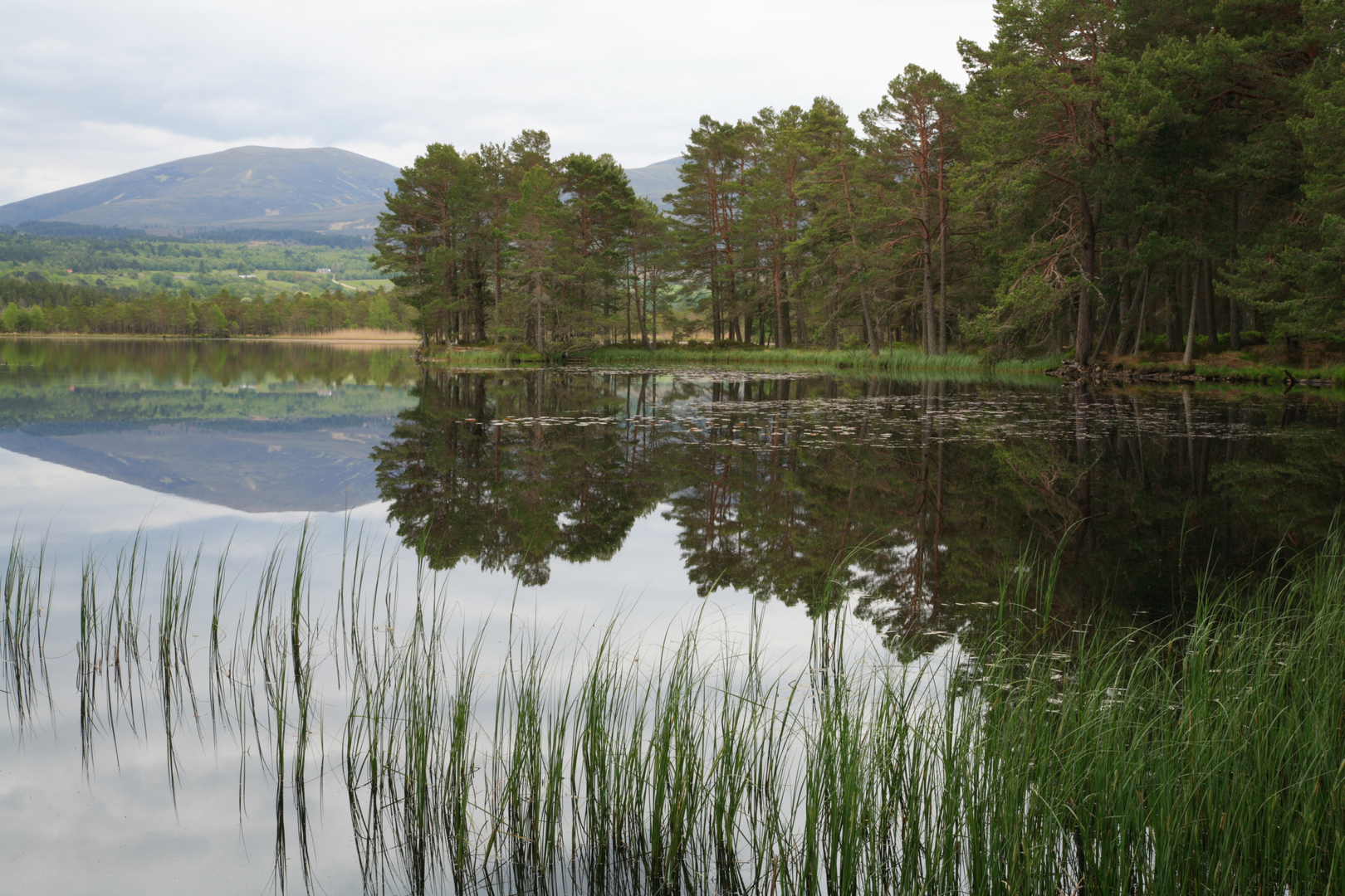 An image depicting the trail Loch Malachie Walk and its surrounding area.