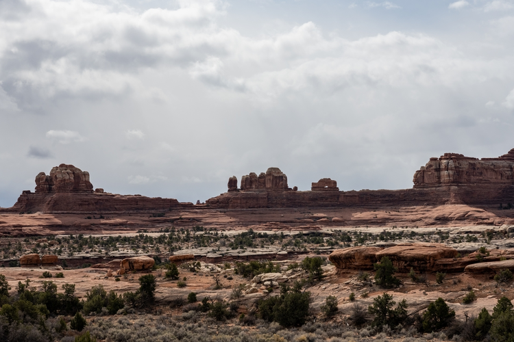 Tower Ruins Road via Salt Creek Road Trail