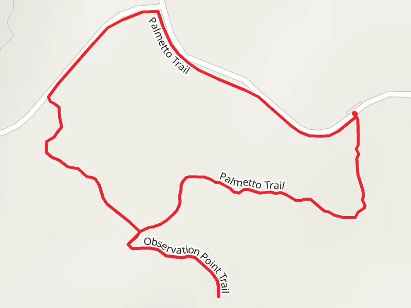 Observation Point and Palmetto Loop Trail
