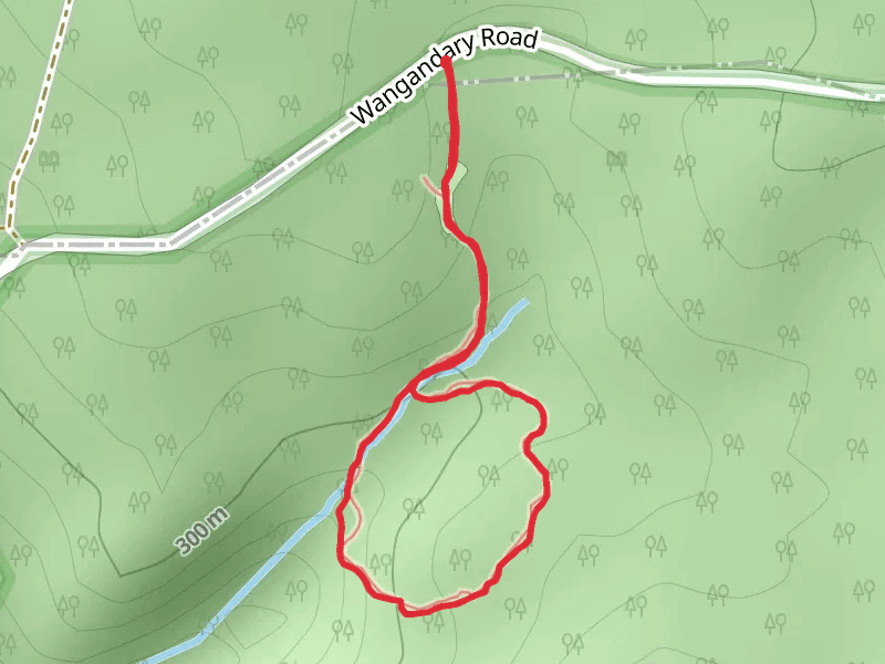 Pine Gully Nature Trail