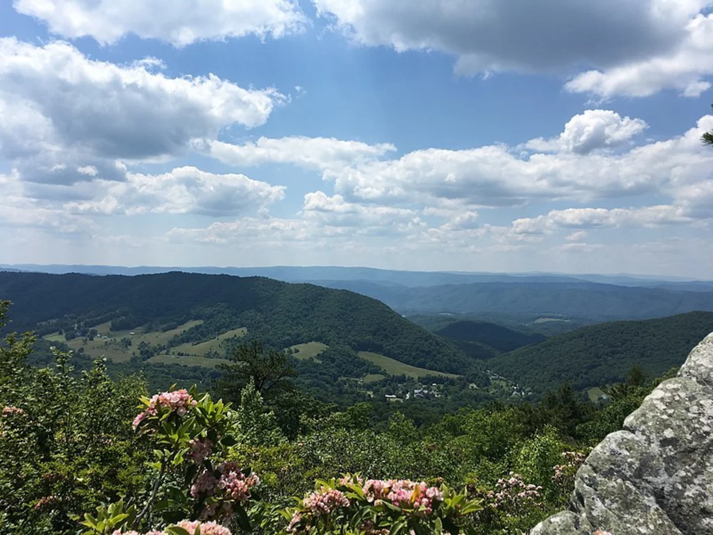 An image depicting the trail Little Mare Mountain Trail and its surrounding area.