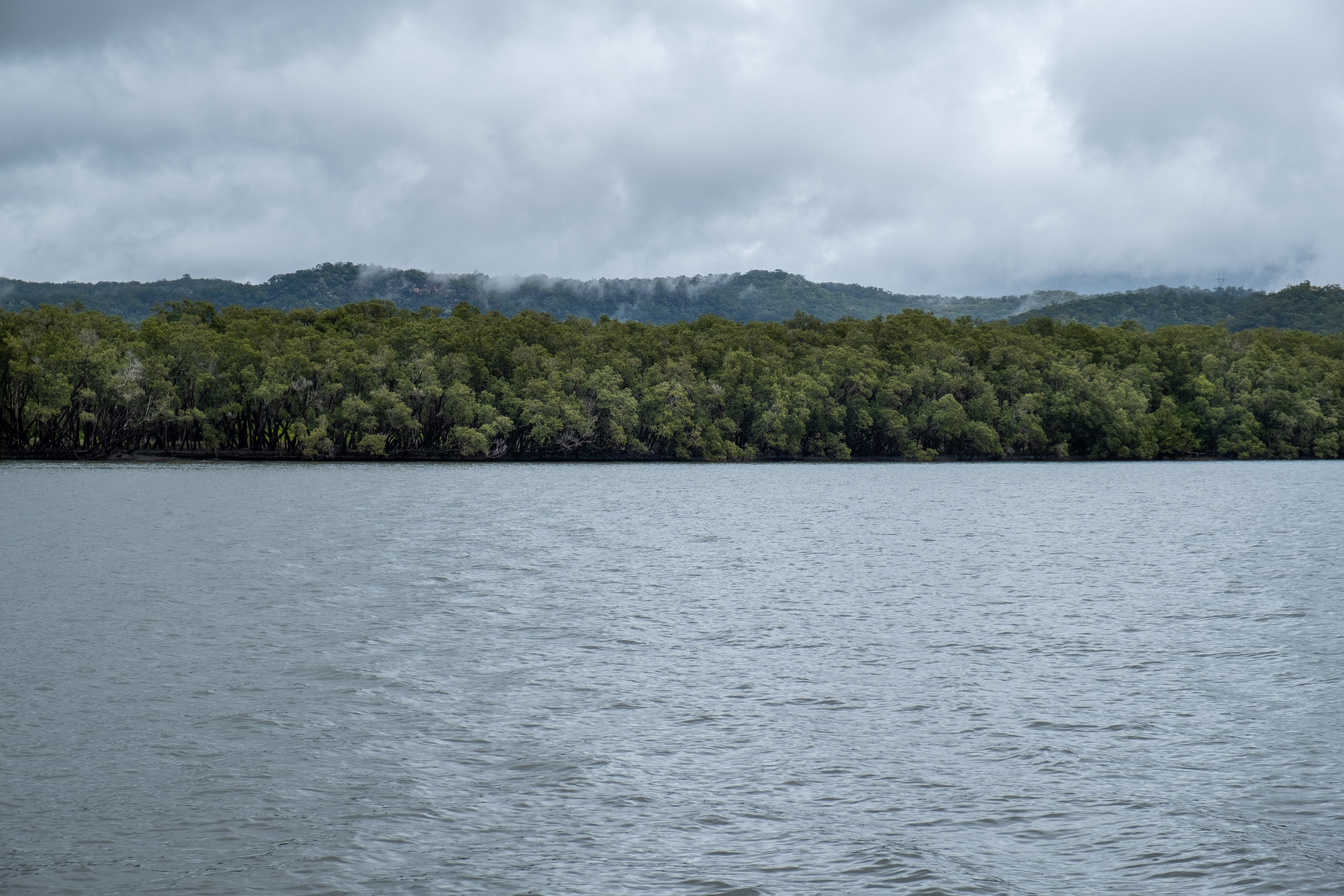An image depicting the trail Dharug National Park and its surrounding area.