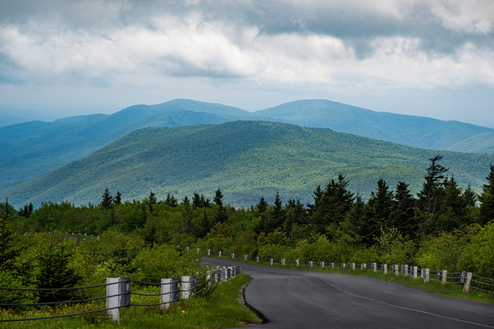 An image depicting the trail Pine Brook Trail and its surrounding area.