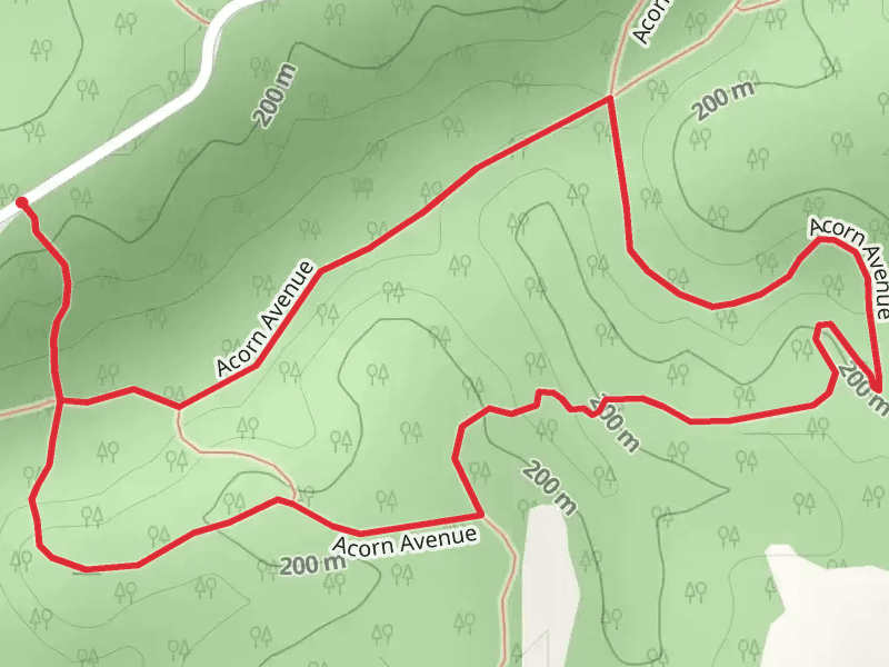 Acorn Avenue Loop